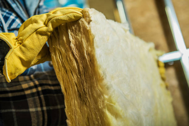 Best Commercial Insulation in South Patrick Shores, FL