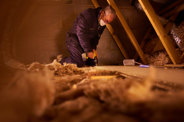 Best Insulation Maintenance and Repair in South Patrick Shores, FL